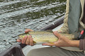 Roadford lake flyfishing